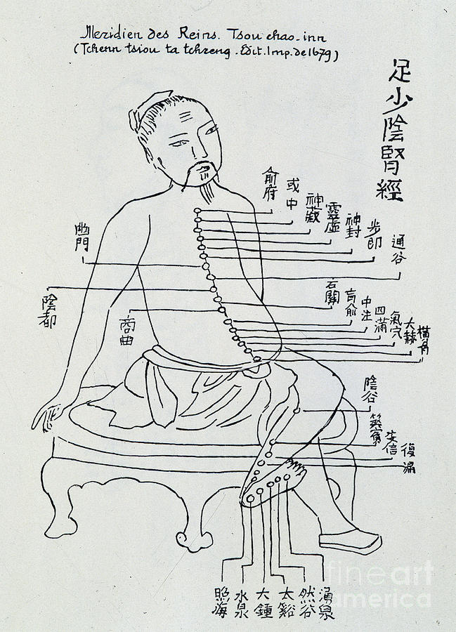 Chinese Acupuncture The Meridian Of The Kidneys, 1679 Drawing by