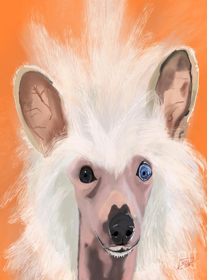 Chinese Crested Dog Digital Art by Lidija Ivanek - SiLa