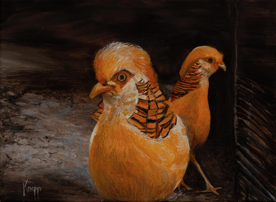 Chinese Golden Pheasant Painting by Kathy Knopp