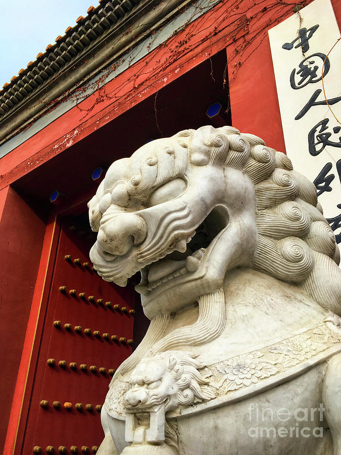 Architecture Photograph - Chinese guardian lion by Iryna Liveoak