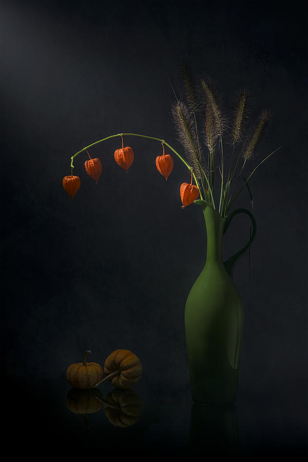 Chinese Lantern And Tail Grass Photograph by Lydia Jacobs
