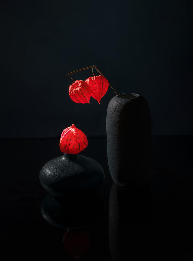 Still Life Photograph - Chinese Lantern by John-mei Zhong