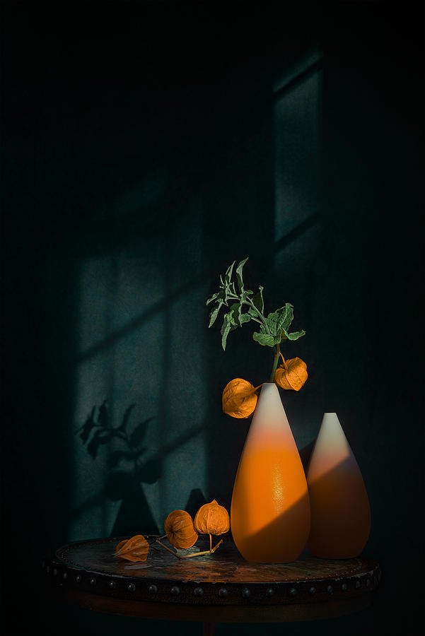 Still Life Photograph - Chinese Lantern Plant by Lydia Jacobs