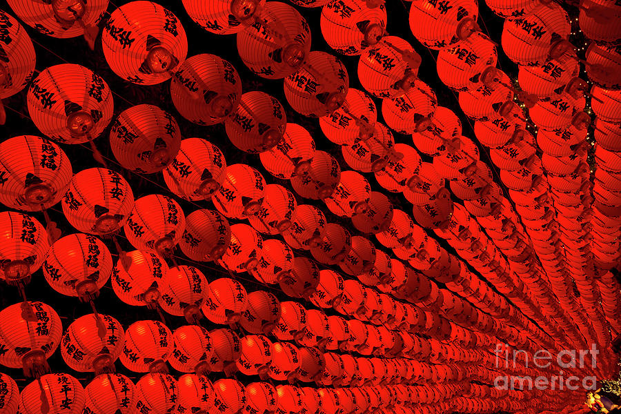 Chinese Lantern Photograph by Vii-photo