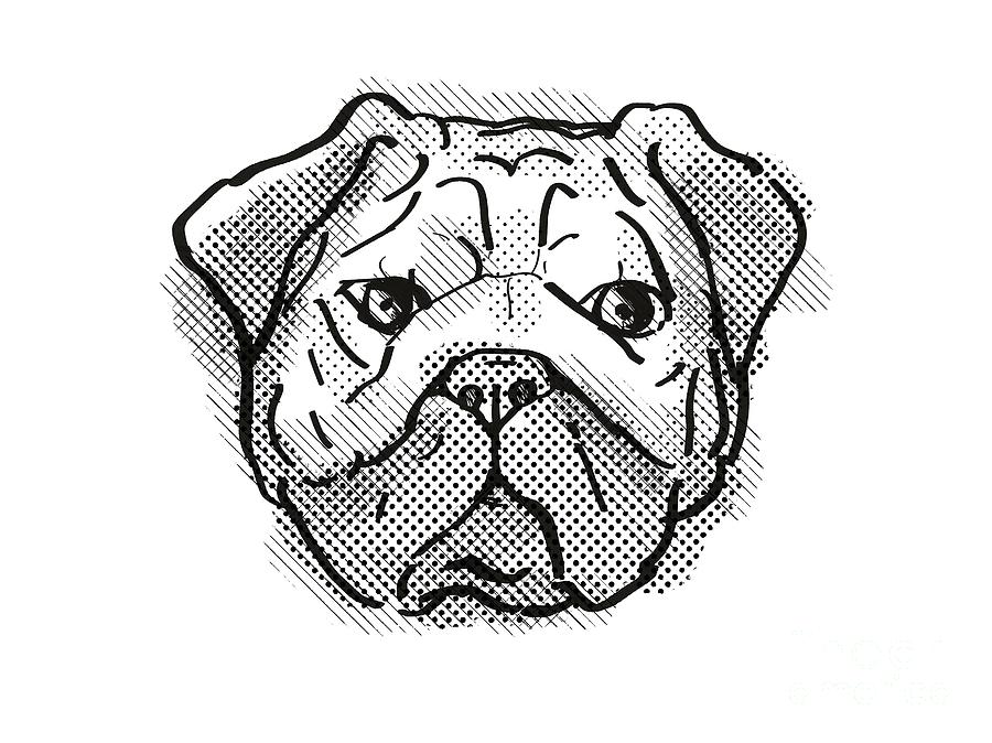 Chinese Pug Dog Breed Cartoon Retro Drawing Digital Art