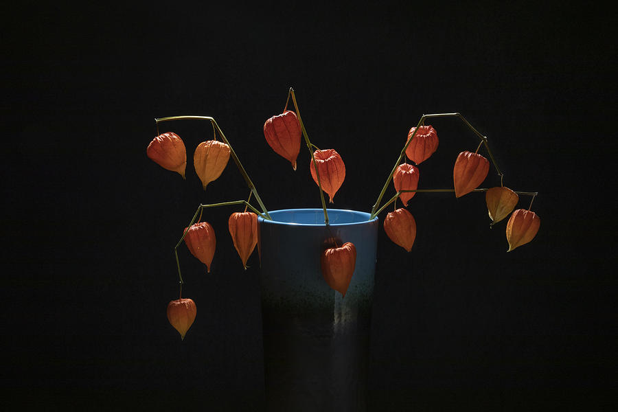Still Life Photograph - Chinese Red Lantern by Lillian Lan