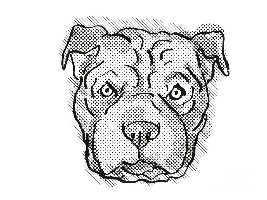 Chinese Shar-pei Dog Breed Cartoon Retro Drawing Digital Art