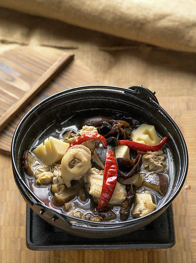 Chinese Stew With Mushrooms, Chicken And Winter Bamboo Photograph by Tre Torri