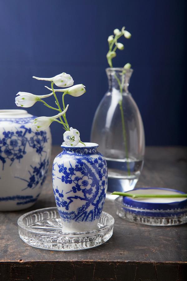 Chinese Vases With White And Blue Painted Decoration And White Larkspur In Glass Vases Photograph by Pia Simon