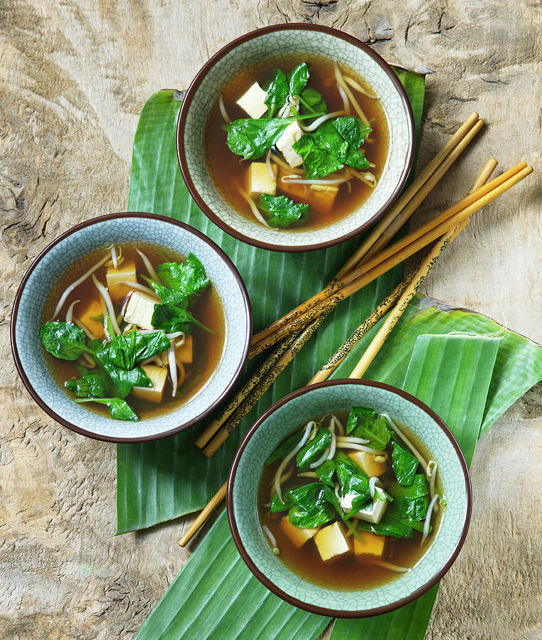 Chinese Vegetable Soup With Tofu Photograph by Alena Hrbkov