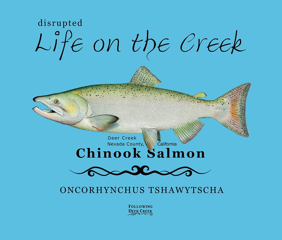 Chinook Salmon Disrupted Digital Art by Lisa Redfern