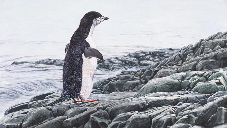 Chinstrap Penguin on a Rock by Alan M Hunt Painting by Alan M Hunt