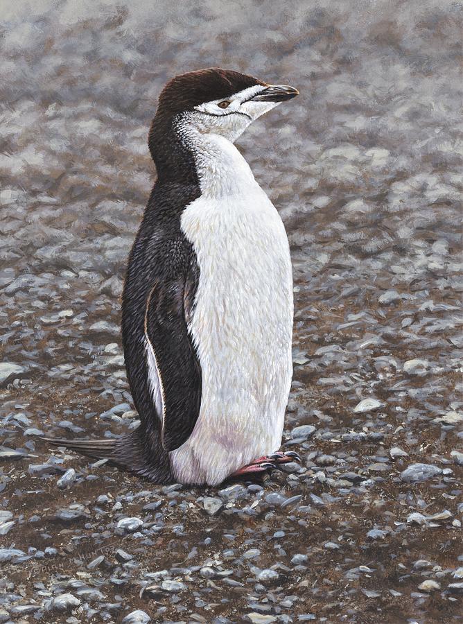 Chinstrap Penguin Portrait by Alan M Hunt Painting by Alan M Hunt