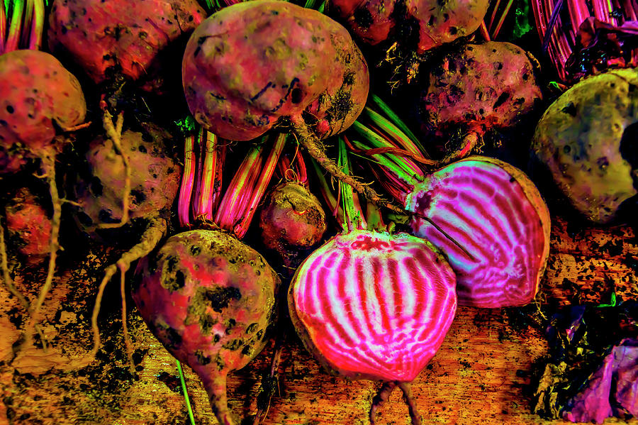 Vegetable Photograph - Chioggia Beets by Garry Gay