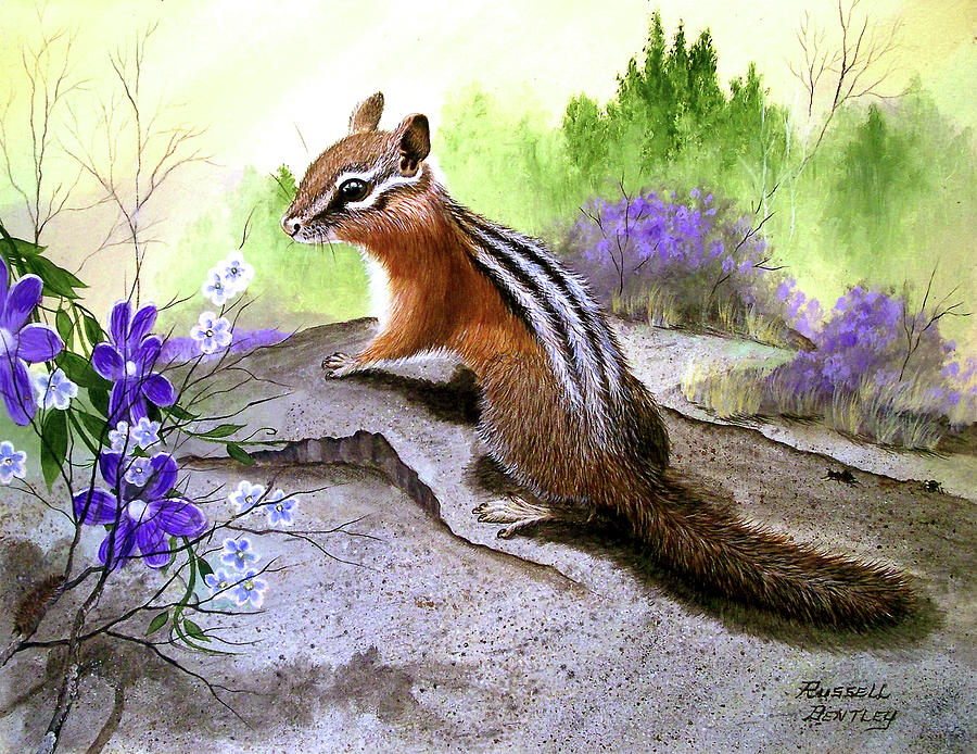 Nature Painting - Chipmonk by Russell Bentley