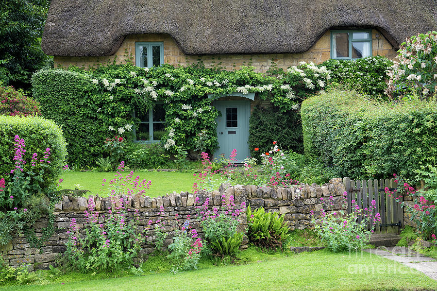 Chipping Campden Thatched Cottage in Summer Photograph by Tim Gainey