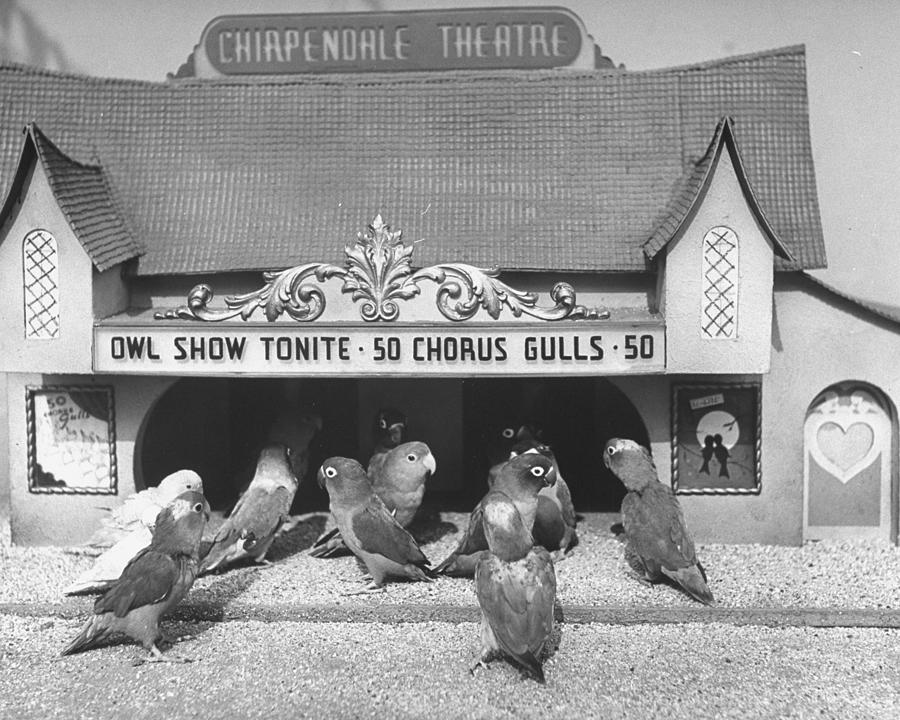 Chirpendale Theatre Photograph by Peter Stackpole - Fine Art America