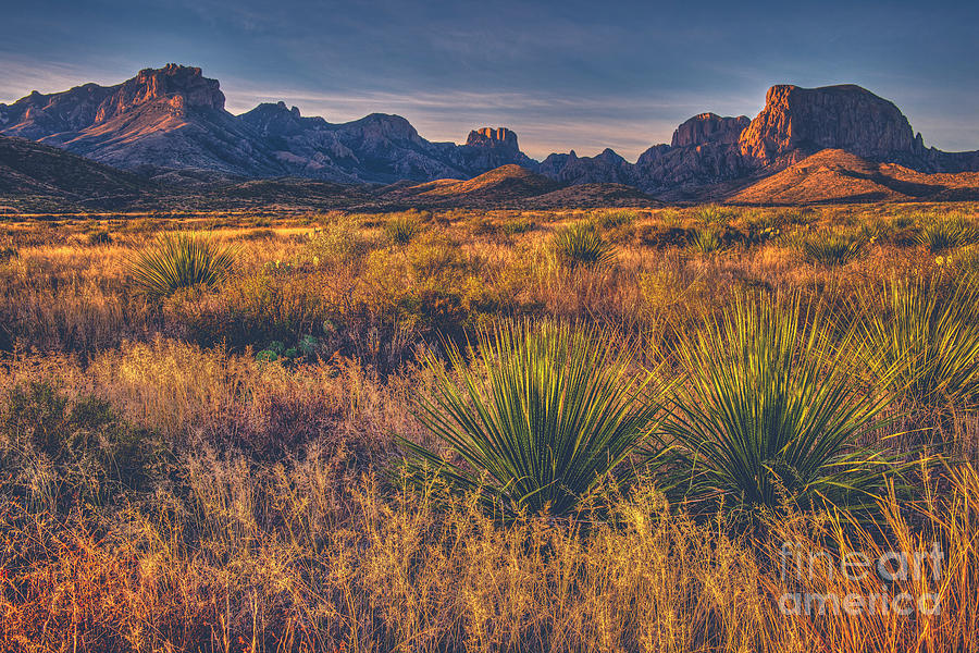 Chisos Desert Sunrise by Charles Dobbs Chisos Desert Sunrise by Charles Dobbs