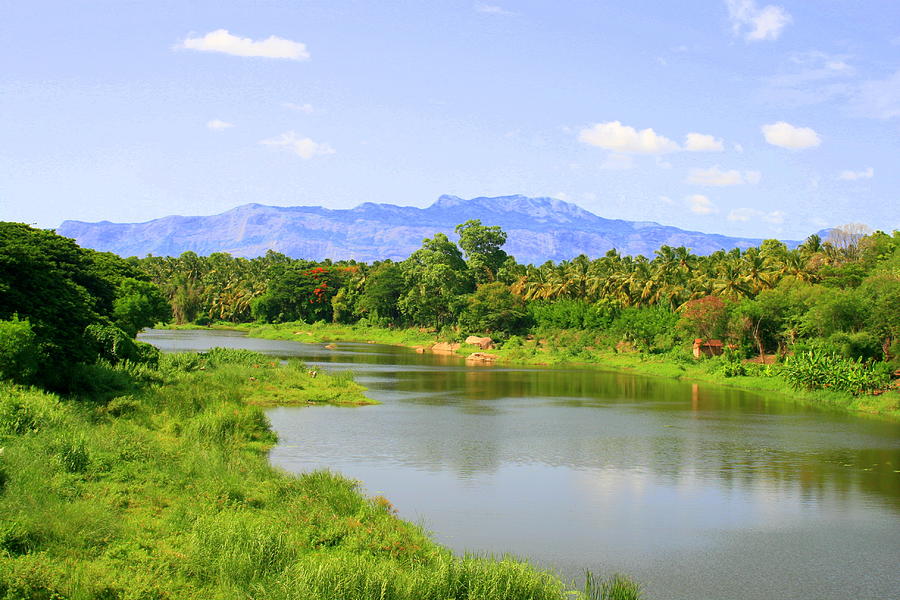 Chittur Sokanasini River Photograph by Dotcompalsphotoblog.com - Fine ...