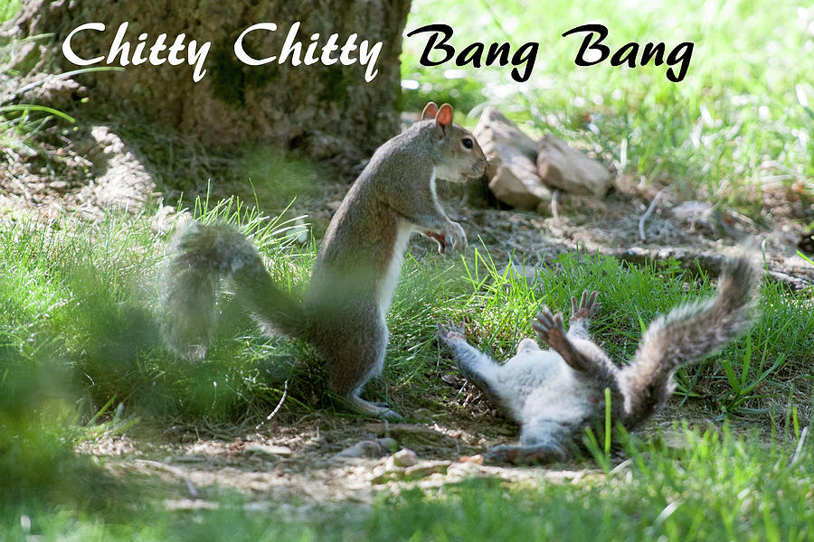 Chitty Chitty Bang Bang Photograph by Daniel Friend