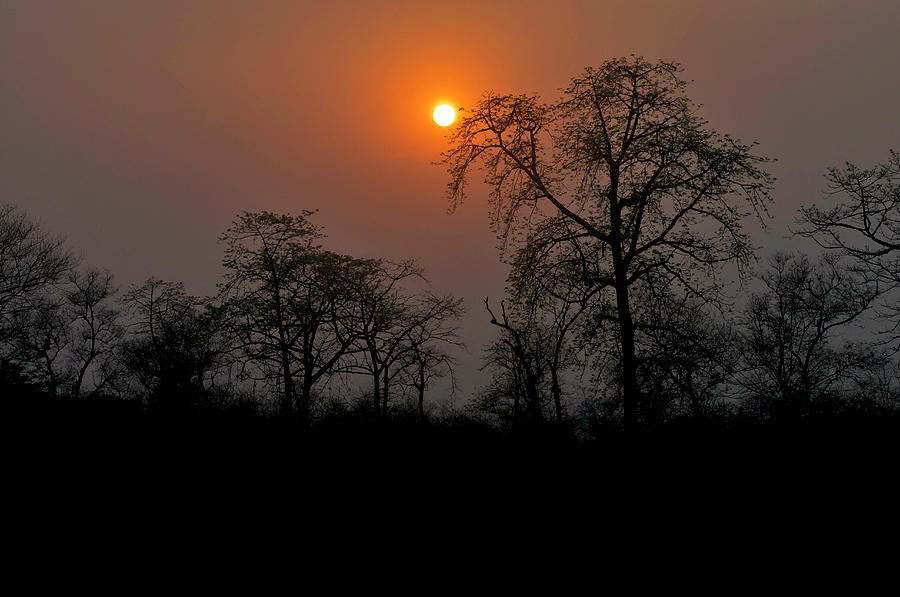 Chitwan National Park Sunset Photograph by Jim Simmen Chitwan National Park Sunset Photograph by Jim Simmen