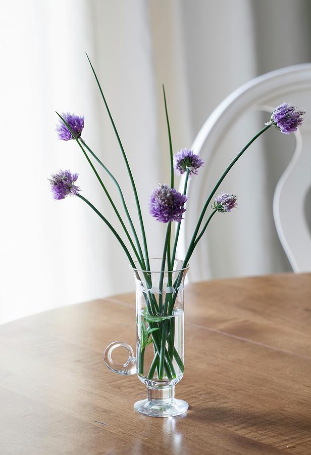 Chive Flowers In Glass Of Water Photograph by Yelena Strokin