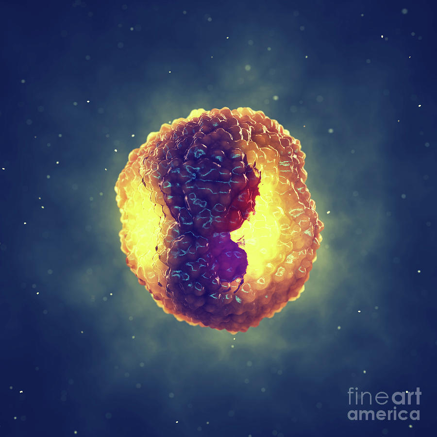 chlamydia-infected-cell-photograph-by-nobeastsofierce-science-photo