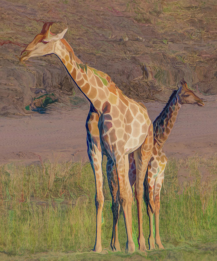 Chobe Giraffes, Painterly Photograph by Marcy Wielfaert