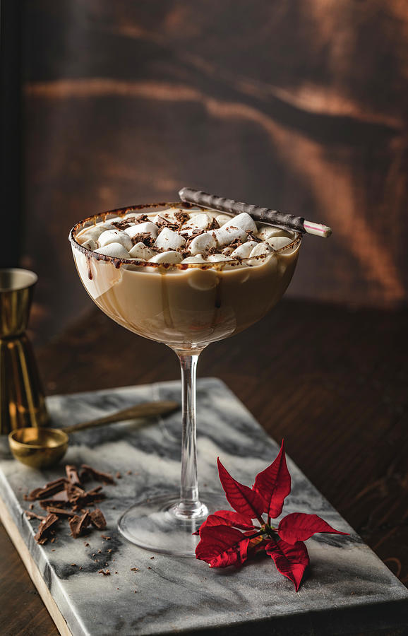Chococolate Martini With Mini Marshmallows Photograph by Carrie Ann Kouri