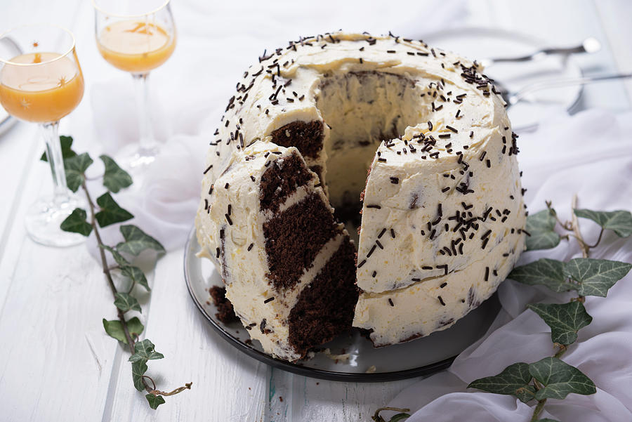 Chocolate Bundt Cake With Soya Vegan Eggnog Cream Photograph by Kati Neudert