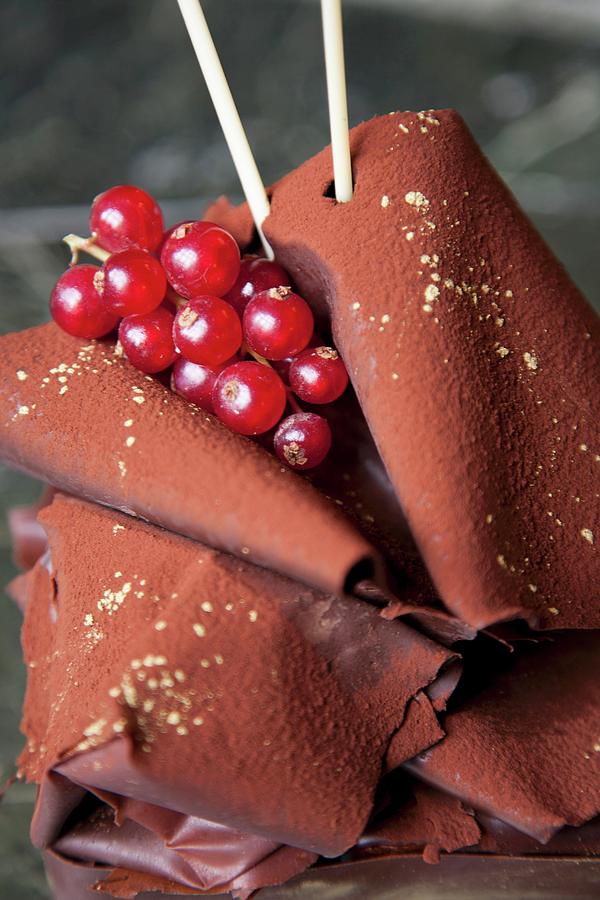 Chocolate Cake Topped With Chocolate Fans And Redcurrants close-up Photograph by Lioba Schneider Fotodesign
