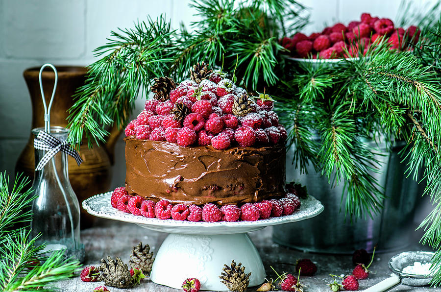 Chocolate Cake With Raspberry And Pine Branches For Christmas Photograph by Gorobina
