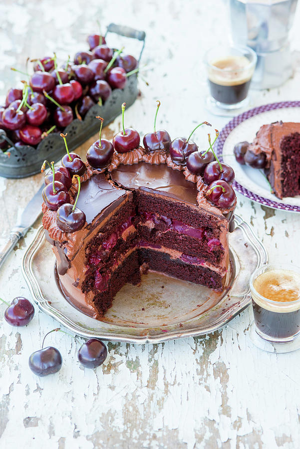 Chocolate Cherry Cake Photograph by Irina Meliukh