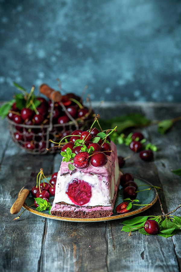 Chocolate Cherry Ice Cream Cake Photograph by Irina Meliukh