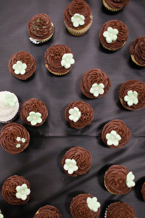 Chocolate Cupcakes Photograph by Christopher Kimmel