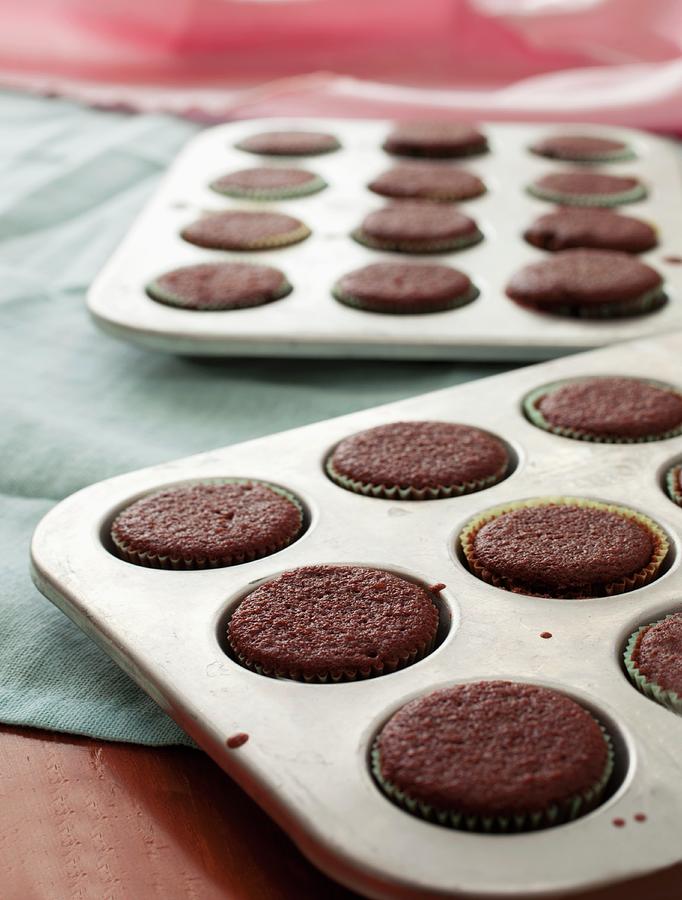 Chocolate Cupcakes In A Baking Tin Photograph by Katharine Pollak