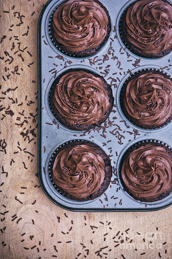 Chocolate Cupcakes in a Tray Photograph by Tim Gainey