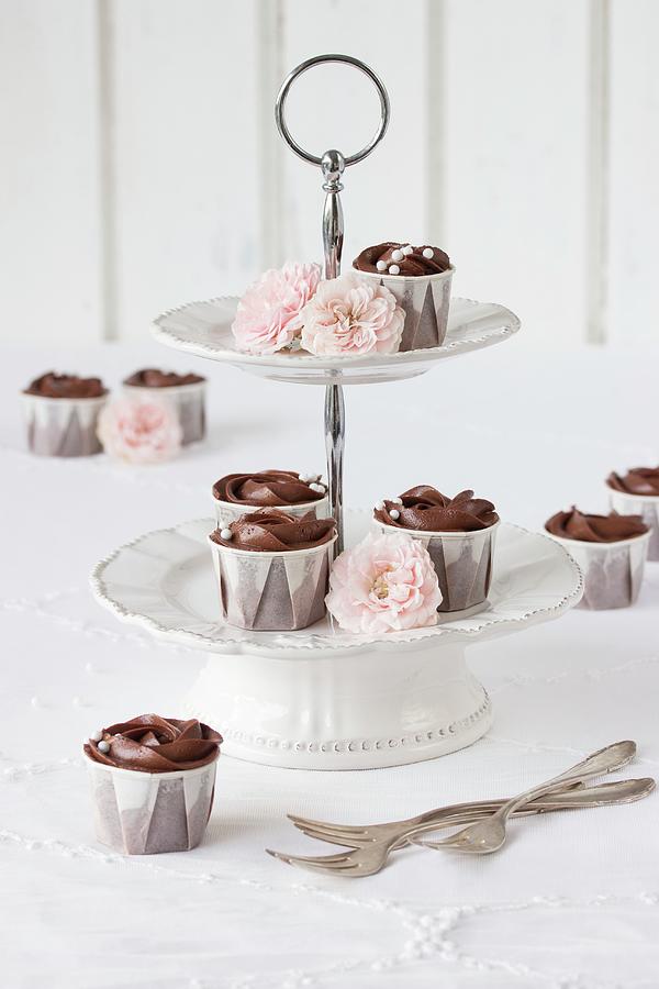 Chocolate Cupcakes On A Cake Stand Photograph by Emma Friedrichs