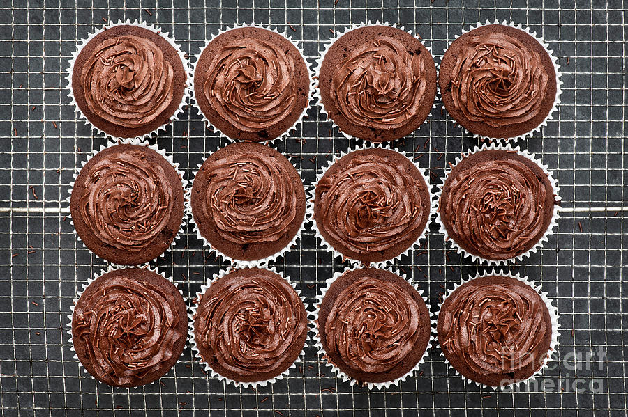 Chocolate Cupcakes Photograph by Tim Gainey