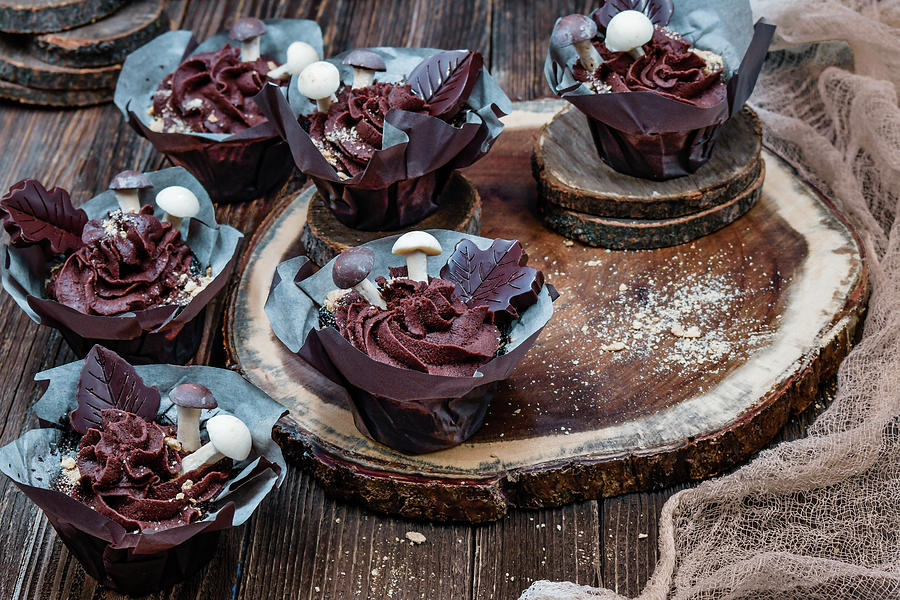 Chocolate Cupcakes With Ganache Buttercream And Chocolate Mushrooms Photograph by Adelina