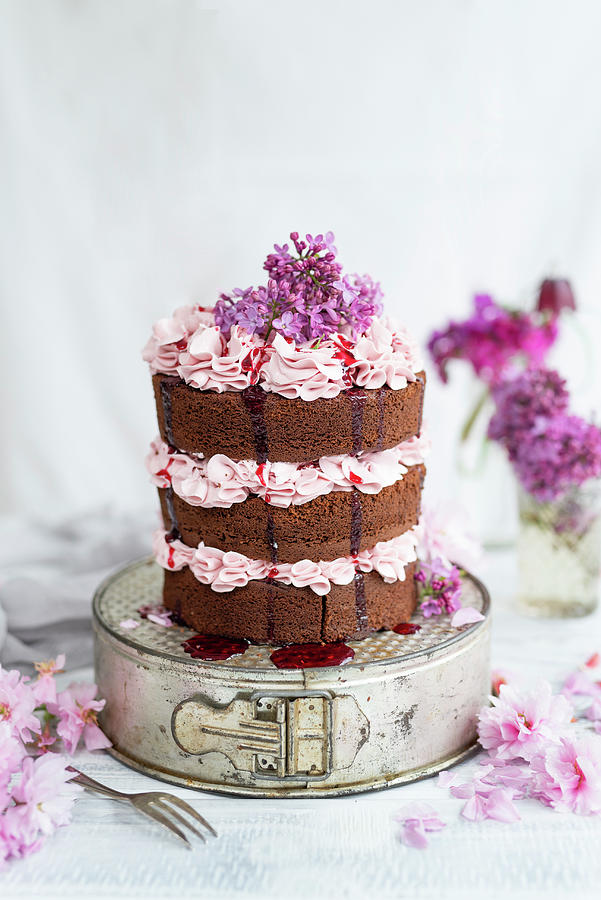 Chocolate Layer Cake With Blackberry Buttercream Filling Photograph by Lucy Parissi