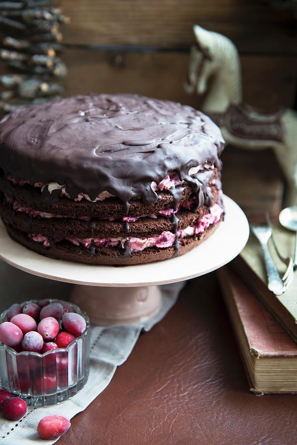 Chocolate Layer Cake With Cranberries, For Christmas Photograph by Veronika Studer