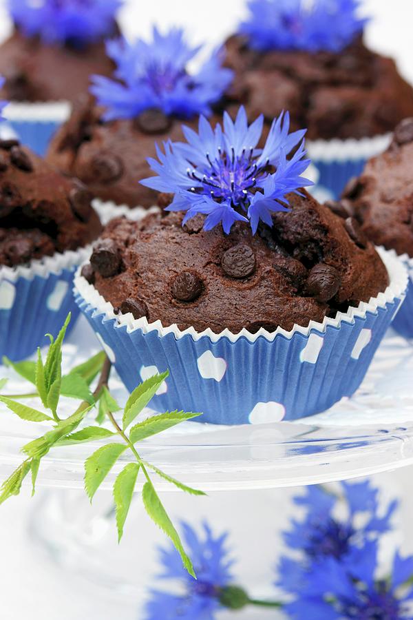 Chocolate Muffins With Cornflowers Photograph by Angelica Linnhoff