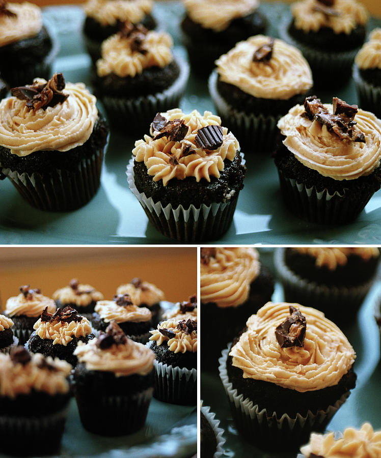 Chocolate Peanut Butter Cupcakes Photograph by Danielle D. Hughson