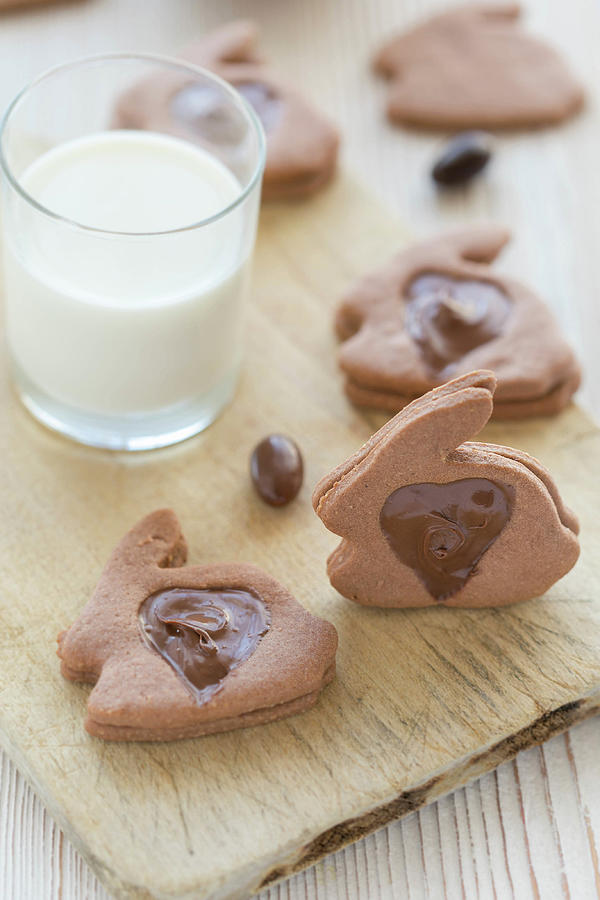 Chocolate Rabbit Biscuits Photograph by Gousses De Vanille