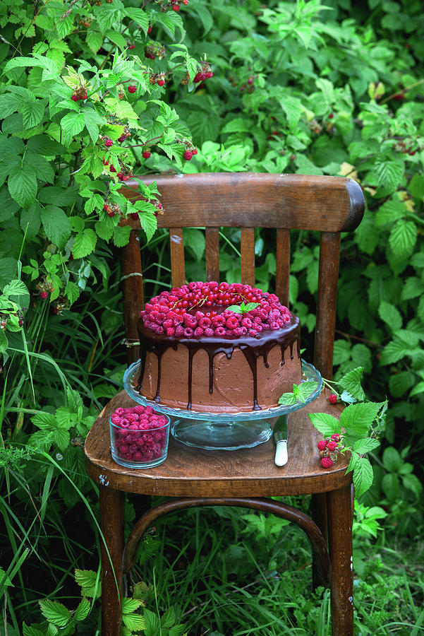 Chocolate Raspberry Cake In A Garden Photograph by Irina Meliukh