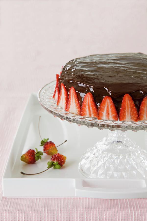 Chocolate Torte With Strawberries On A Torte Stand Photograph by Lerner, Danny