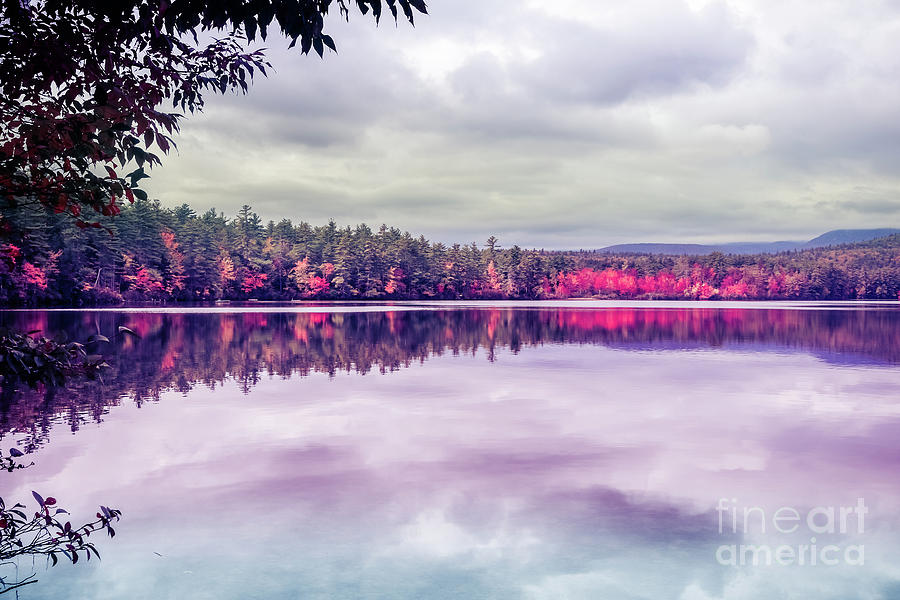 Chocorua Lake in autumn Photograph by Claudia M Photography