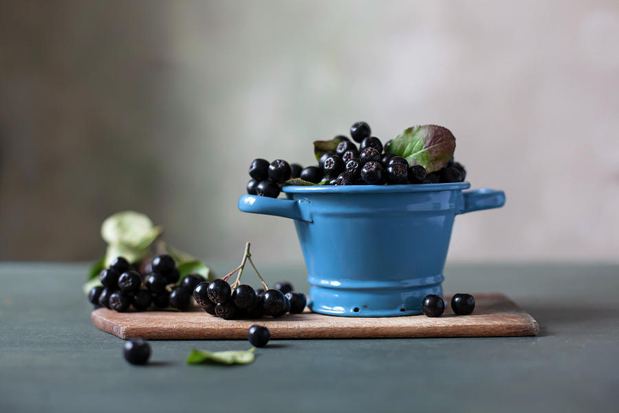 Choke Berries Photograph by Alicja Koll