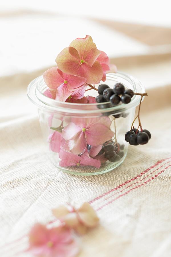 Chokeberries And Hydrangea Flowers Used As Decorations In A Small Preserving Jar Photograph by Sabine Lscher